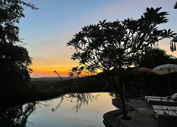 Reva Bali *